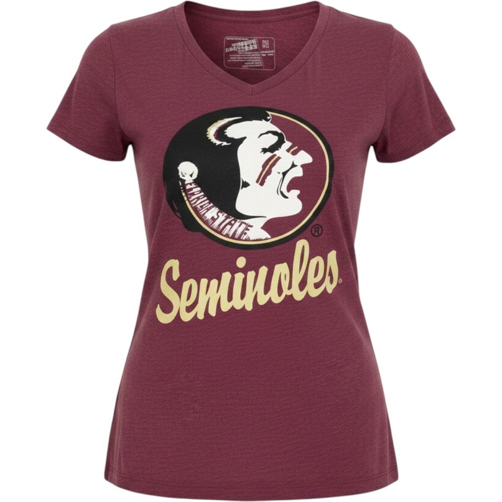 Florida State Seminoles FSU Campus Heritage V-Neck Graphic T-Shirt Maroon Medium